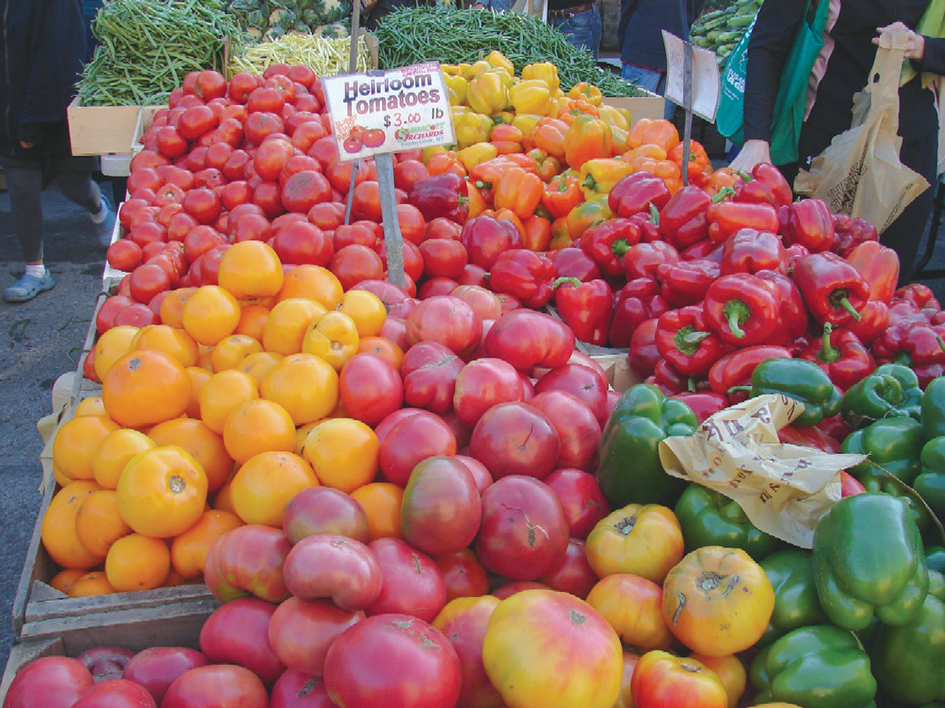 MV2R_Bo_Gijzen_retoucheren3